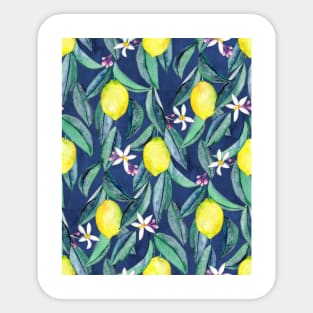 When Life Gives You Lemons - watercolor lemons on dark blue Sticker